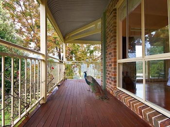 The Acreage B&B - Tourism Gold Coast 4