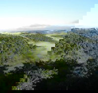 Montville Holiday House - Tourism Gold Coast