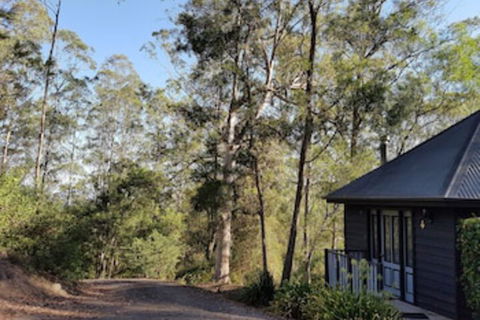 Barrington Tops Nest - Tourism Gold Coast 0