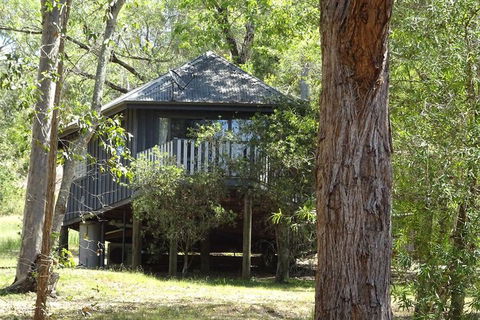 Barrington Tops Nest - Tourism Gold Coast 2
