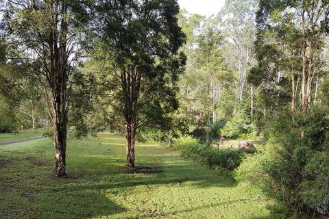 Barrington Tops Nest - Tourism Gold Coast 1