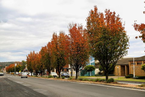 Getaway Tourist Park - Tourism Gold Coast 6