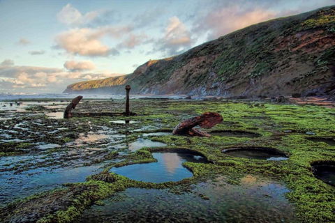 Arabella Country House - Tourism Gold Coast 3