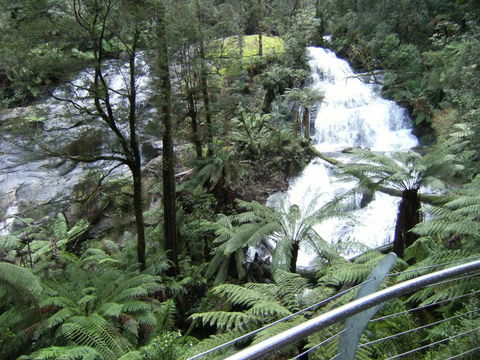 Arabella Country House - Tourism Gold Coast 6