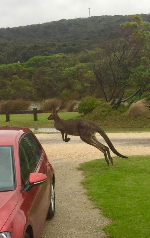 A River Bed Cottage - Tourism Gold Coast 1