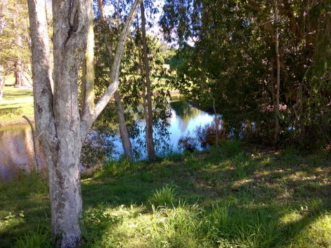 Eumundi Cottages Cottage 1 - Tourism Gold Coast 4