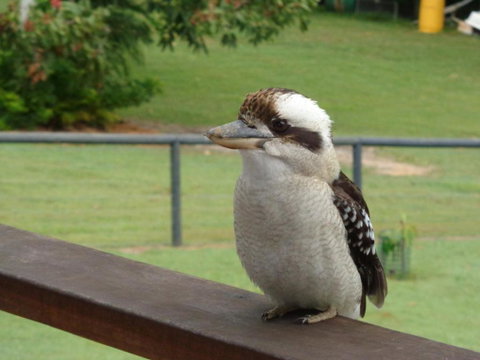 Eumundi Cottages Cottage 1 - Tourism Gold Coast 3