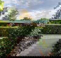 The Grapevine Motel - Tourism Gold Coast