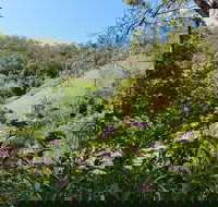 Copeland Manse - Gold Coast