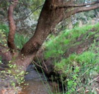 Longwood Retreat - Tourism Gold Coast