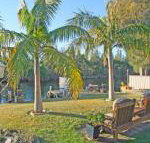 The Oasis on Jacobs Drive - Tourism Gold Coast