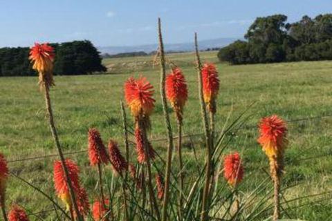 Yanakie Holiday House - Tourism Gold Coast 7