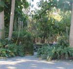 Avoca Park - Tourism Gold Coast