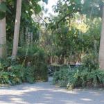 Avoca Park - Tourism Gold Coast 0