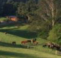 Amaroo Valley Springs - Tourism Gold Coast