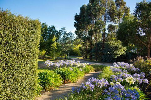 Alvie - Tourism Gold Coast 4