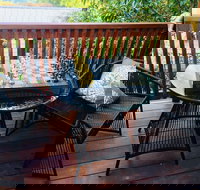 The Little Jungle Studio - Tourism Gold Coast