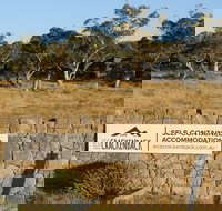 Ecocrackenback 9 'Sustainable chalet close to the slopes.' - Gold Coast