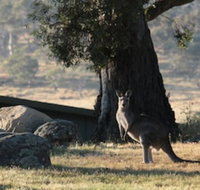 Ecocrackenback 2 Sustainable chalet close to the slopes. - Gold Coast