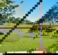 Curra Homestead Maleny - Tourism Gold Coast