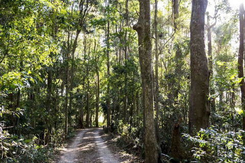 Rosewood Estate - Tourism Gold Coast 1