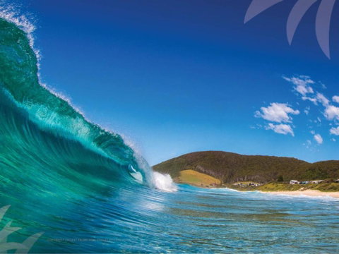 True Blue - Tourism Gold Coast 6