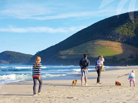 True Blue - Tourism Gold Coast 3
