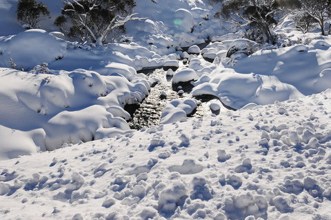 Powder 2a - Gold Coast 2