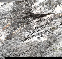 Powder 2a - Gold Coast