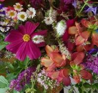 Ahvenbloem Park Winganna - Tourism Gold Coast