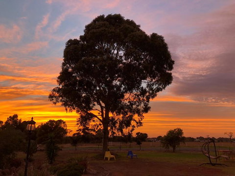 Melbourne Garden Bed & Breakfast - Tourism Gold Coast 1