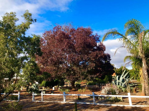 Melbourne Garden Bed & Breakfast - Tourism Gold Coast 5