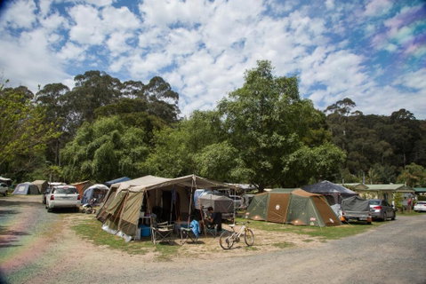 Warburton Holiday Park - Tourism Gold Coast 2