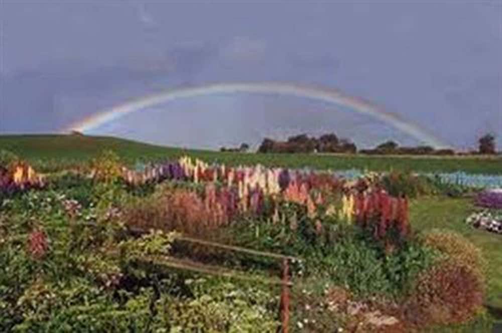 Luina TAS Tourism Gold Coast