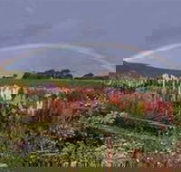 Boat Harbour Garden Cottages - Tourism Gold Coast