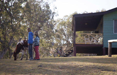 Bestbrook Mountain Resort - Tourism Gold Coast 4