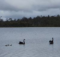 Lake Yalleena Nature Retreat - Tourism Gold Coast