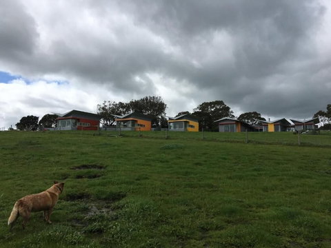 Lush Pastures - Tourism Gold Coast 1