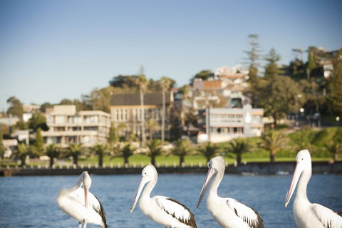 The Sebel Harbourside Kiama - Gold Coast 1