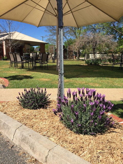 Wine Village Motor Inn - Tourism Gold Coast 4