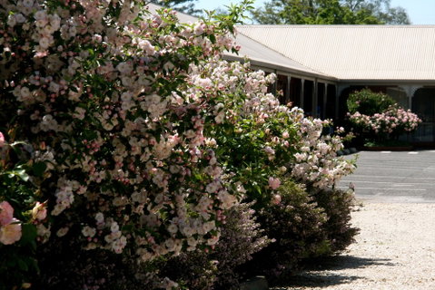 Wine Village Motor Inn - Tourism Gold Coast 1
