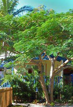 Ewingsdale NSW Tourism Gold Coast