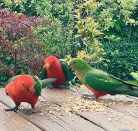 Crimson Villa - Gold Coast