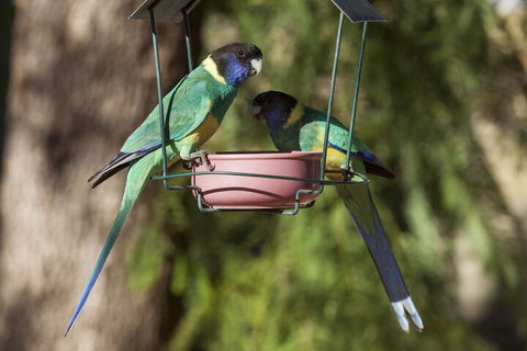 Kathys Place Bed And Breakfast - Gold Coast 2