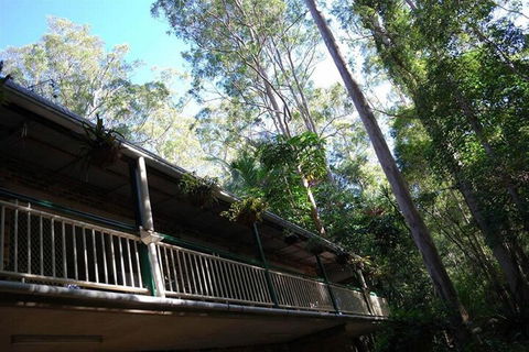 Rumbalara Bed And Breakfast - Tourism Gold Coast 1
