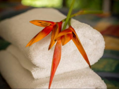 Parap Village Serviced Apartments - Tourism Gold Coast 1