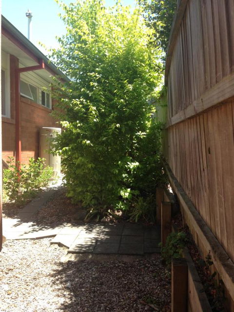 Thornleigh Garden View Comfortable & Tranquil - Gold Coast 7