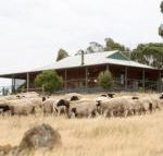 Gilgraves Vineyard Farmstay - Tourism Gold Coast