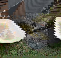 William Hunts Retreat Cypress Studio - Gold Coast