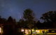 Three Linden - thumb 5